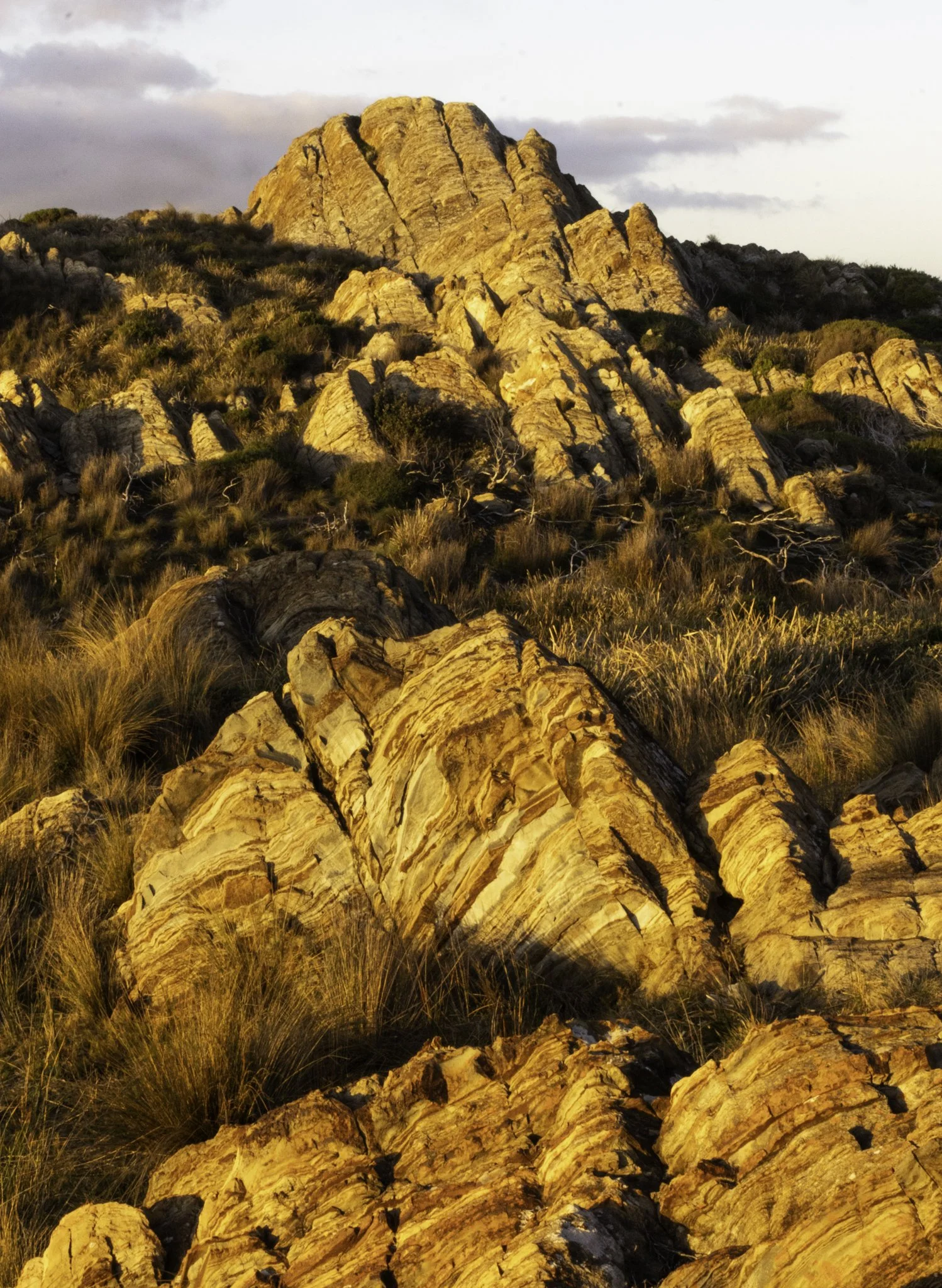 Red rocks.jpg