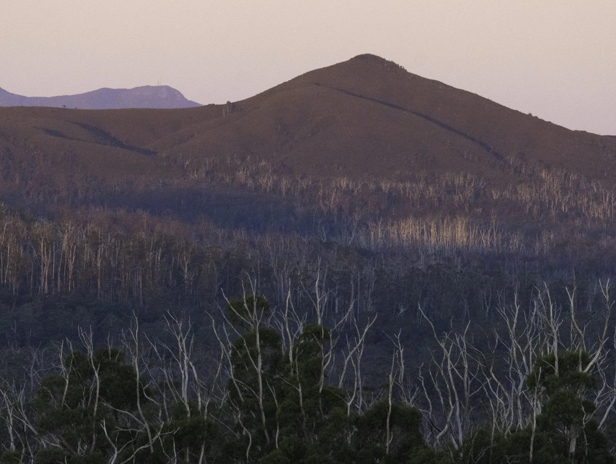 Sunset 1.jpg