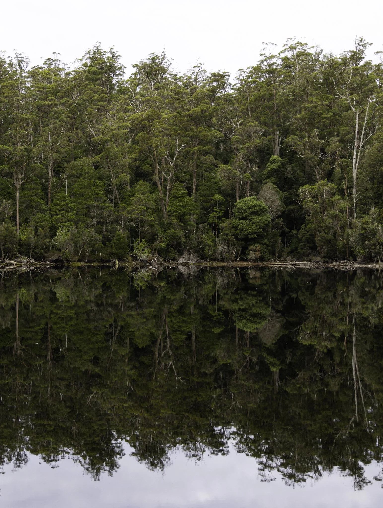 Lake Chisolm 4.jpg