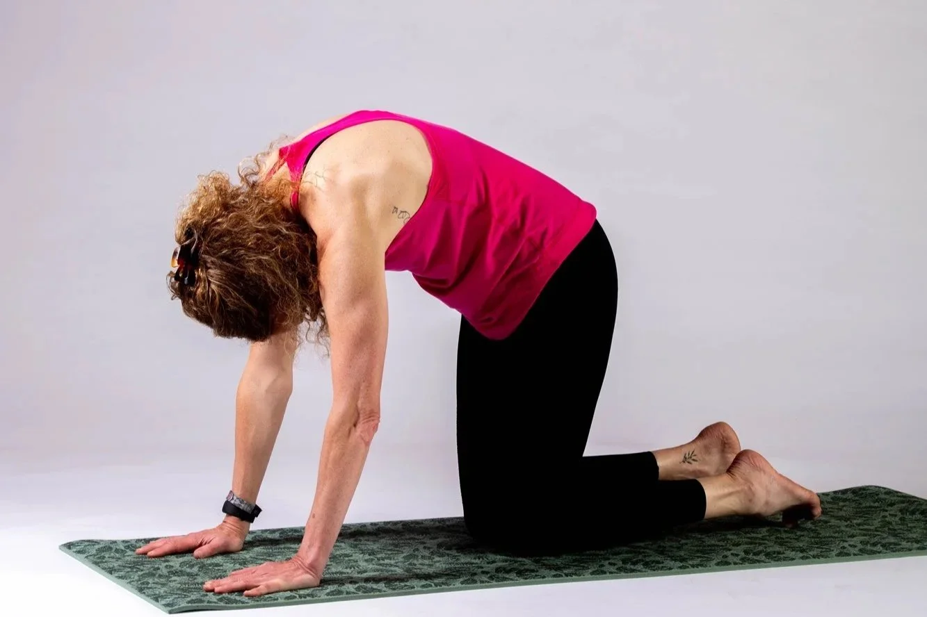 Lynda Power - in cat cow position