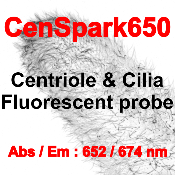 SC525 CenSpark650 - 100 stainings