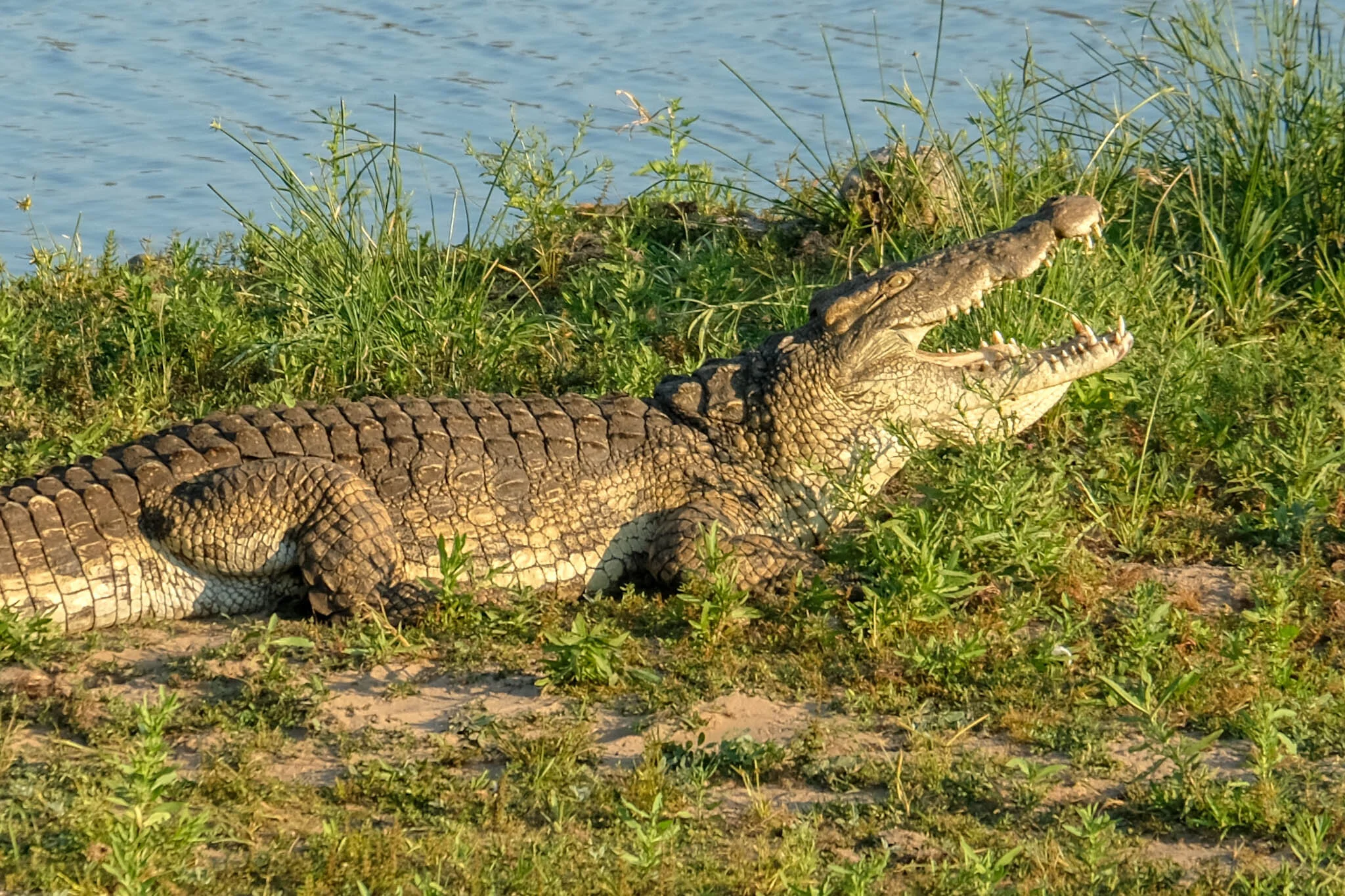 DSCF1362.JPG