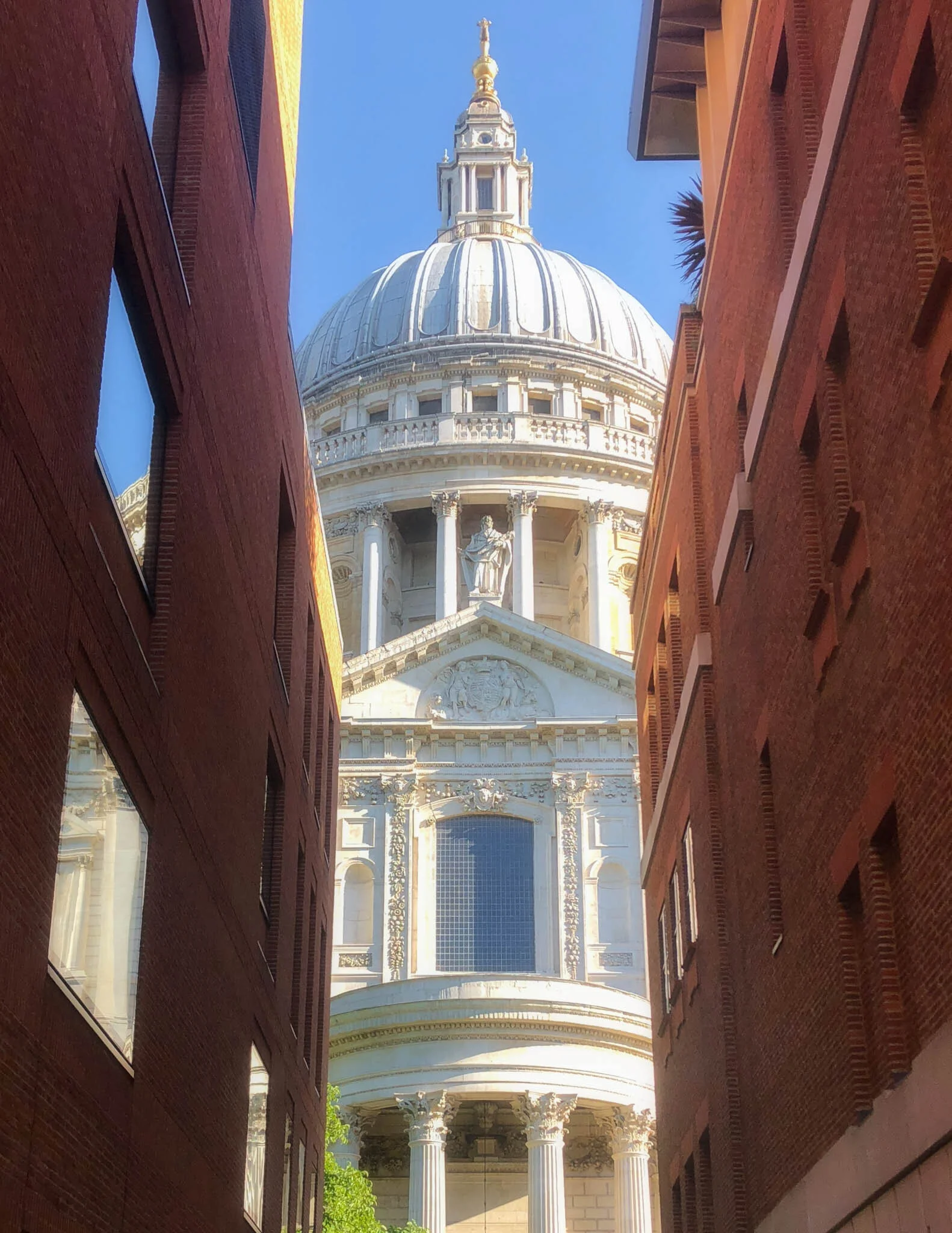 Photo 3-7-2018, 01 26 57.jpeg