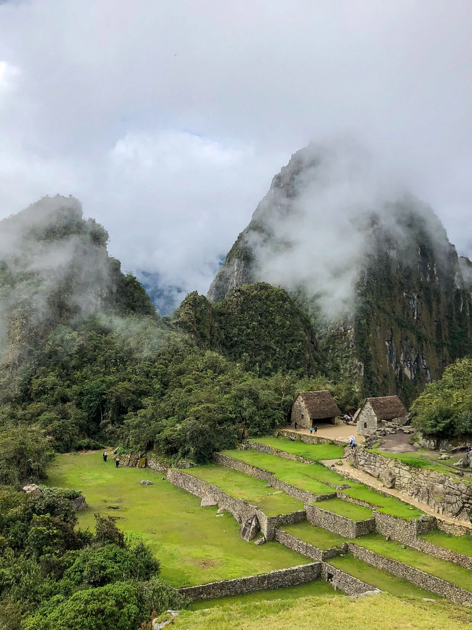 Photo 8-11-2018, 02 54 25.jpeg