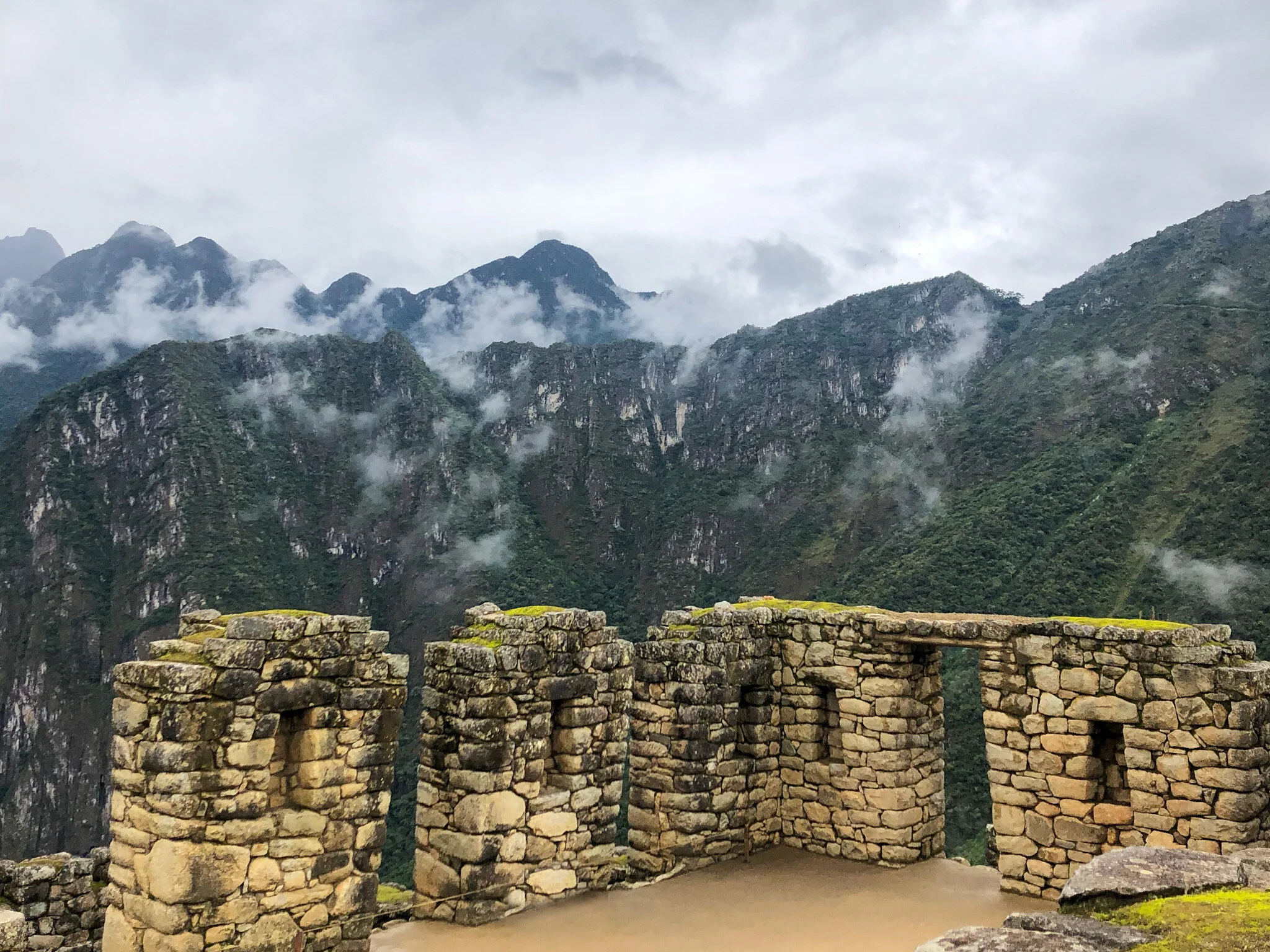 Photo 8-11-2018, 03 13 53-1.jpeg