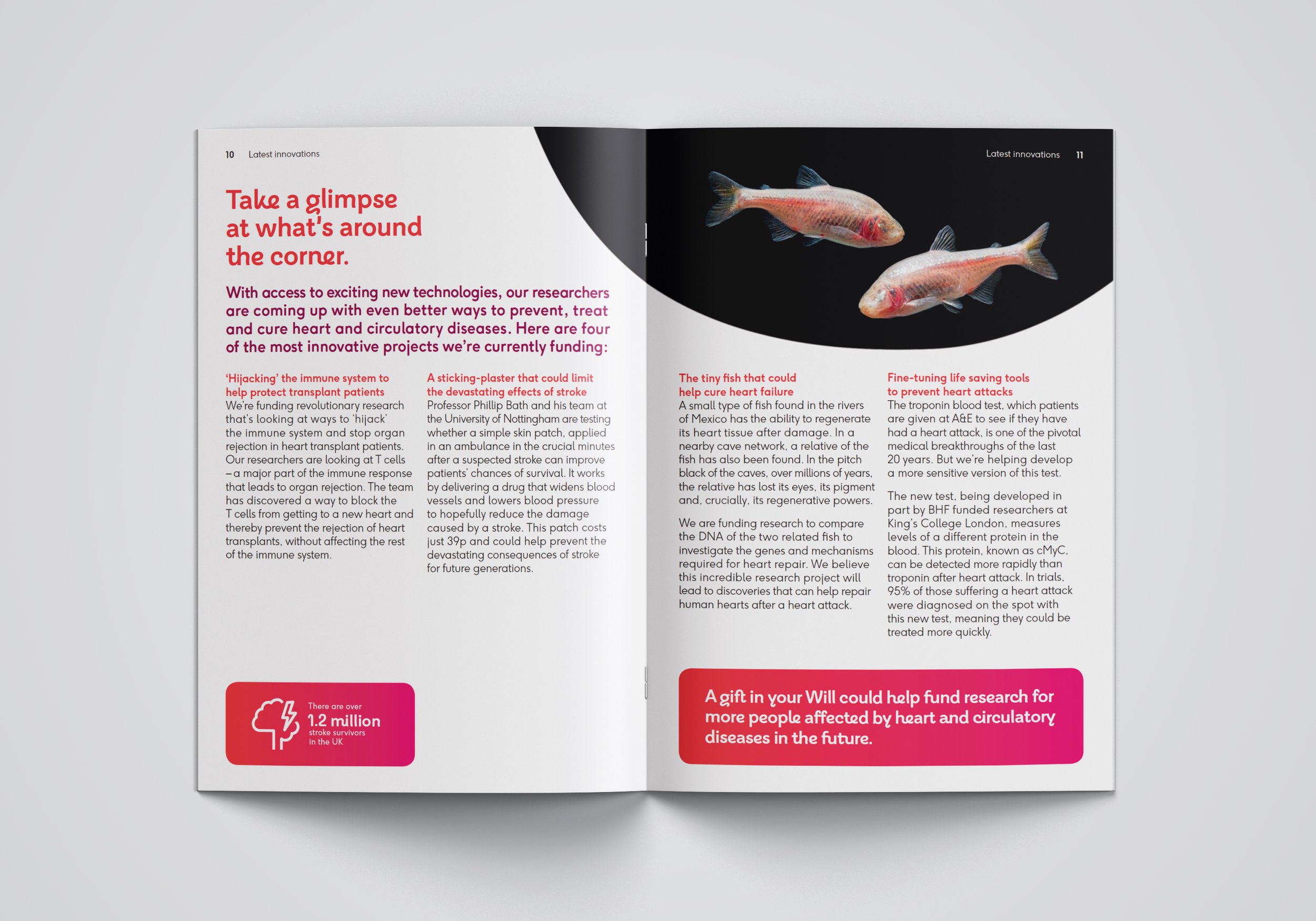 BHF_A4_Brochure_Mockup_spread 5 copy.jpg