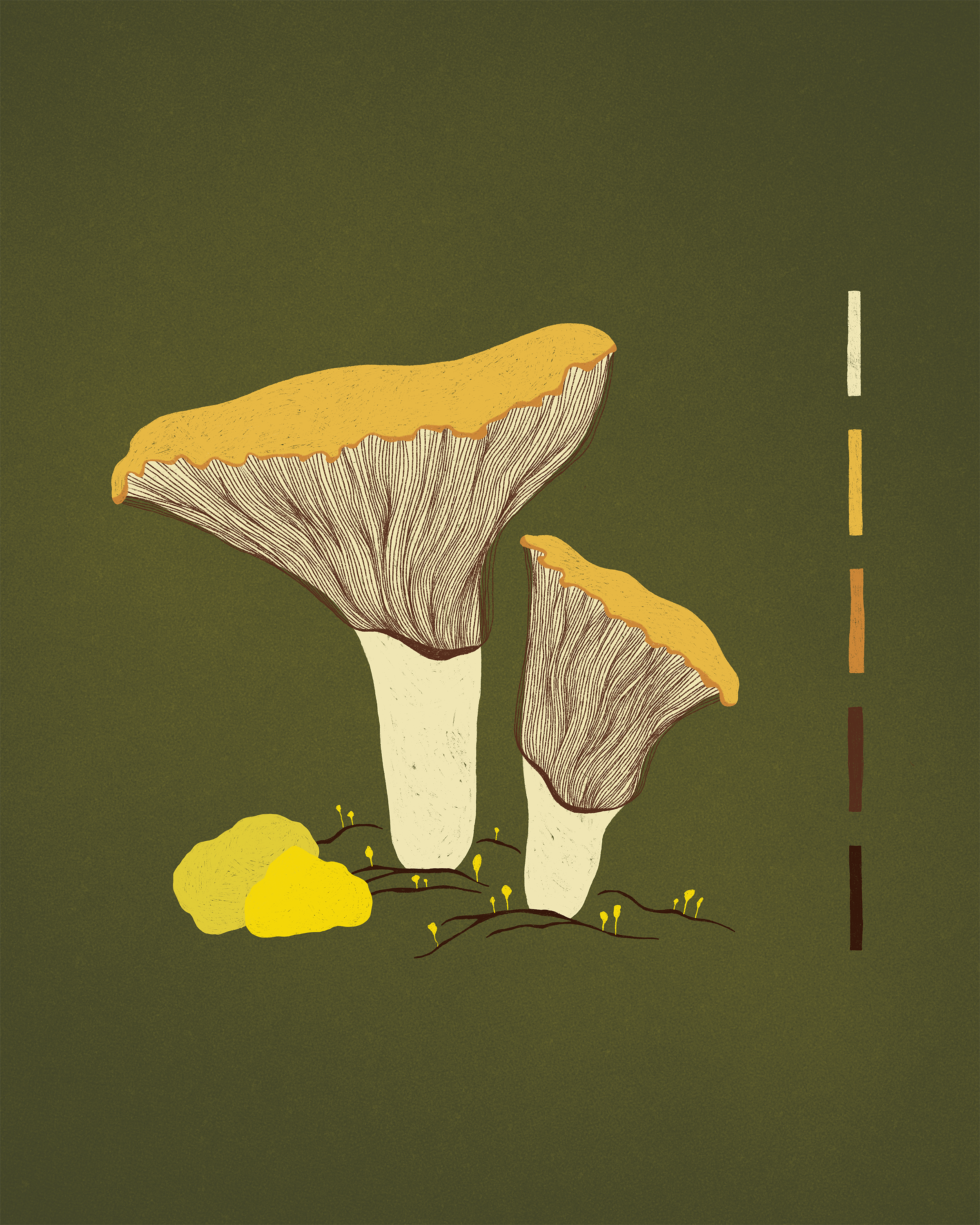 Mushroom8x10.png