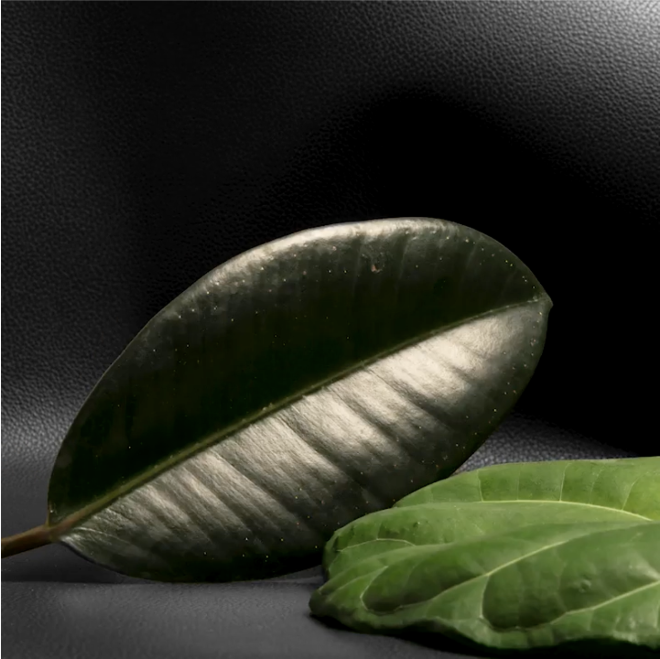 Capture d’écran 2025-12-04 à 11.24.48.png