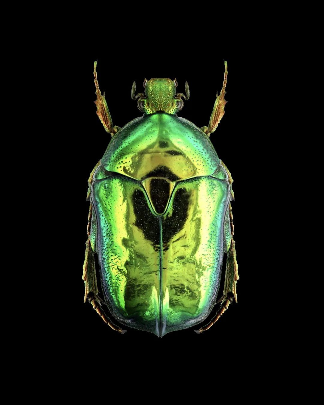 ID Genève_Morphotonix_Inspiration.jpg