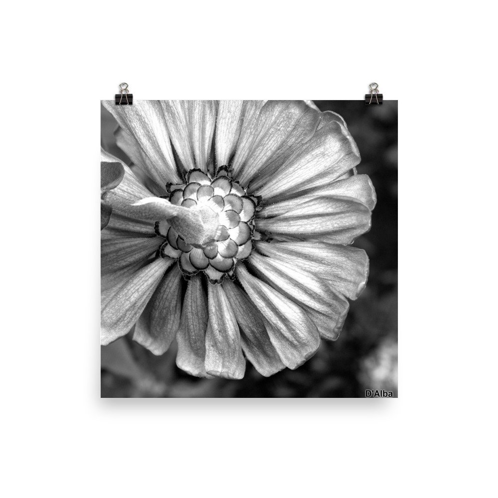 enhanced-matte-paper-poster-(in)-10x10-transparent-61a592ffcc112.jpg
