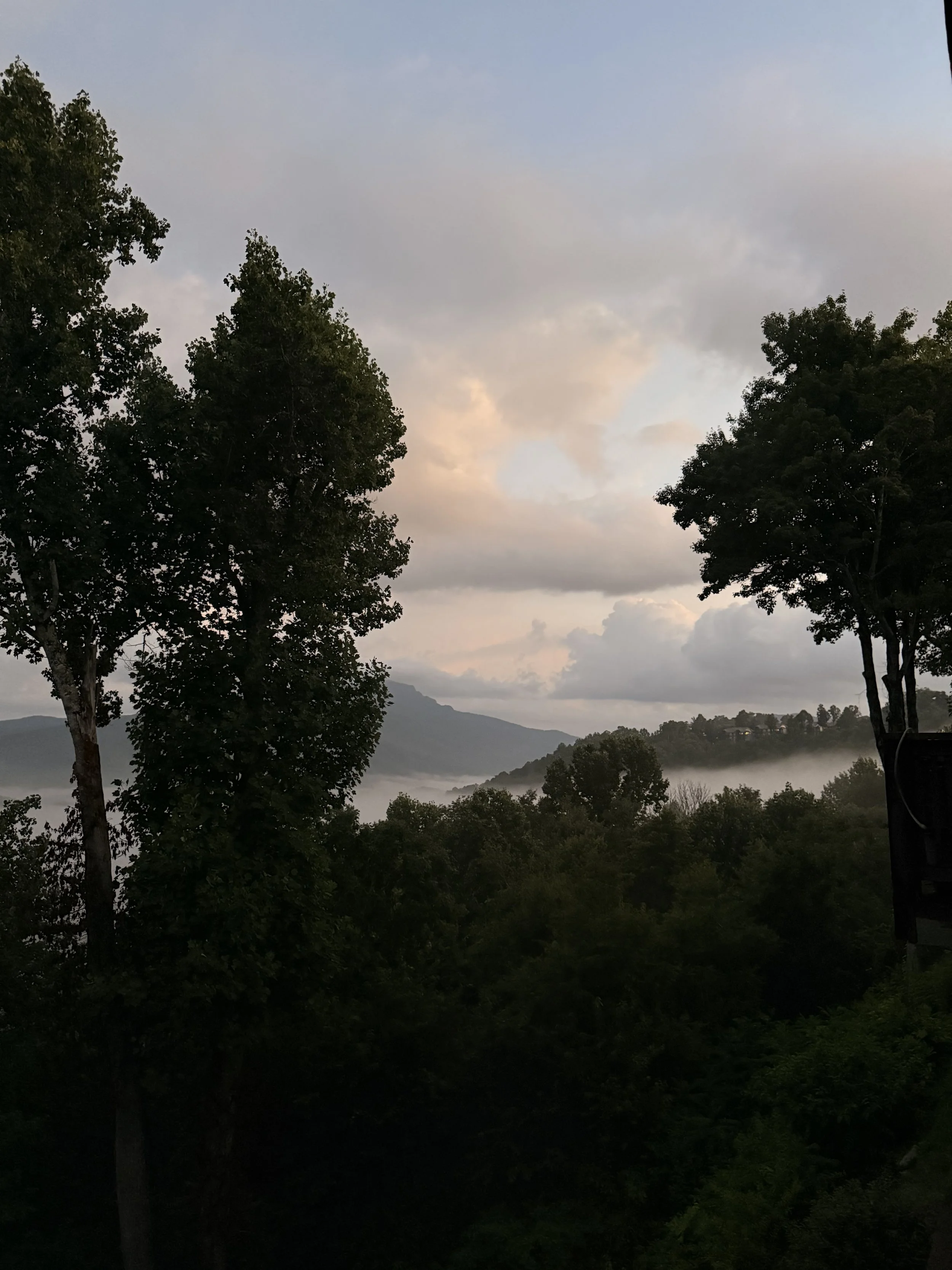 IMG_2153.jpeg