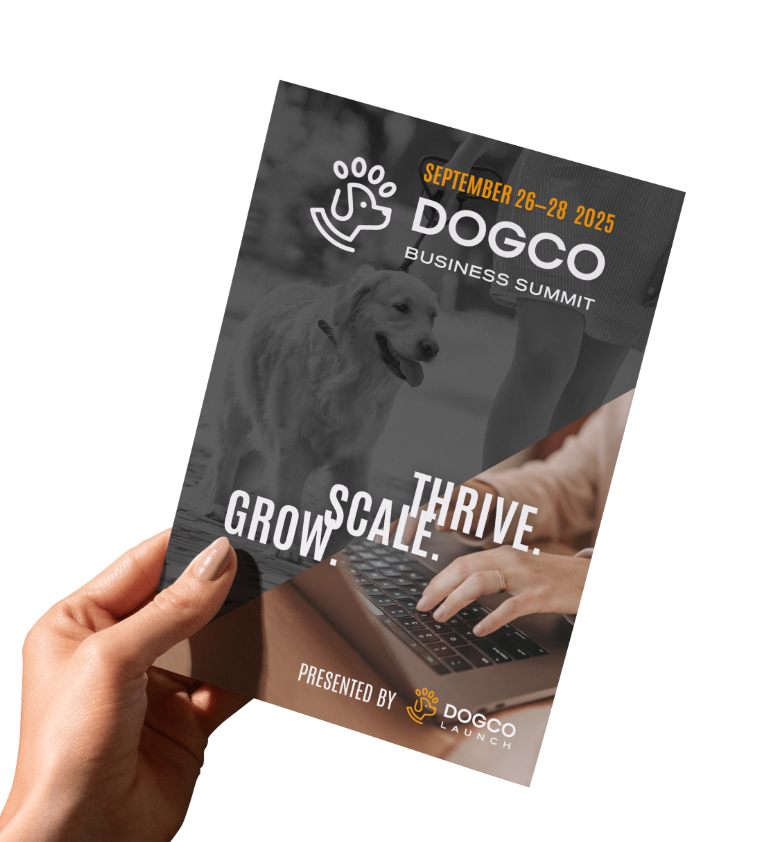 Program Design for DogCo Launch (2025)
