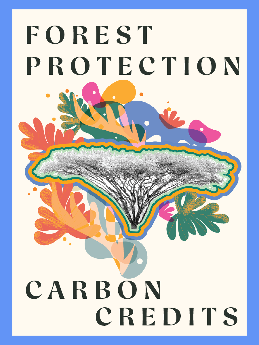 ForestProtection.png