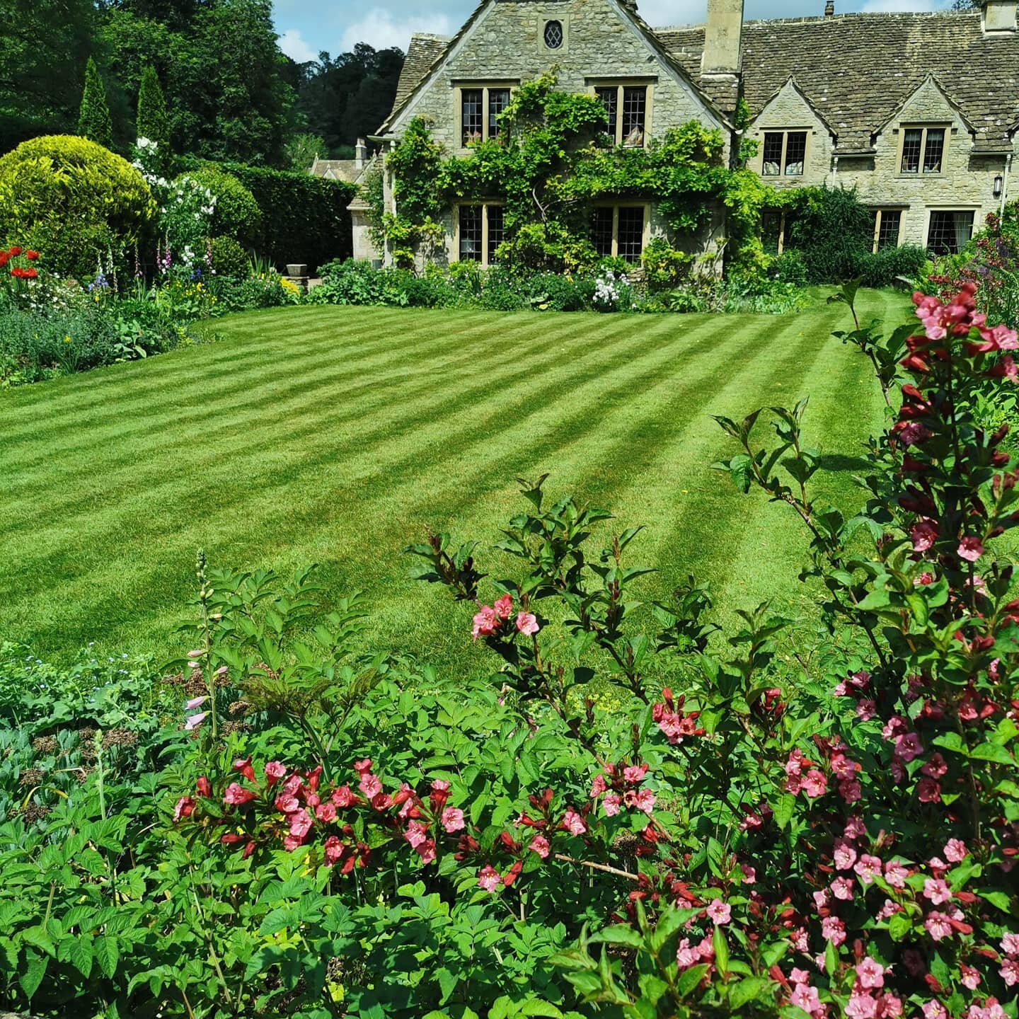 My pride and joy, my home away from home. I treat the gardens I design and maintain as if they are mine. I love to create beautiful wildlife havens with lots of plants and soft landscaping. Get in touch if you want me to help with planting, design, r