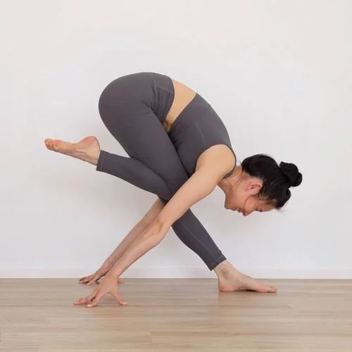 Vayumudra Discount Code — Jacqui Noël Yoga