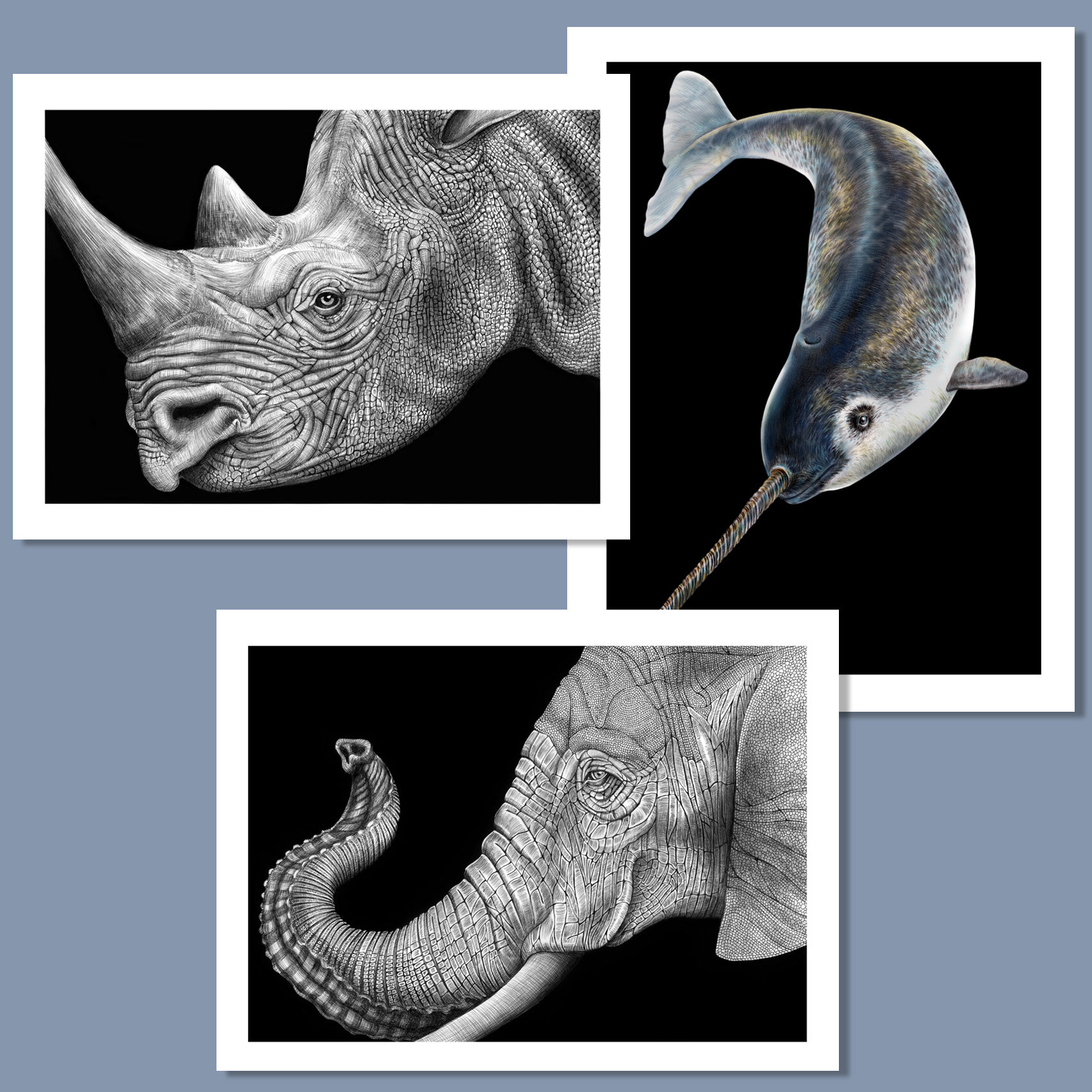 Tim Jeffs Art