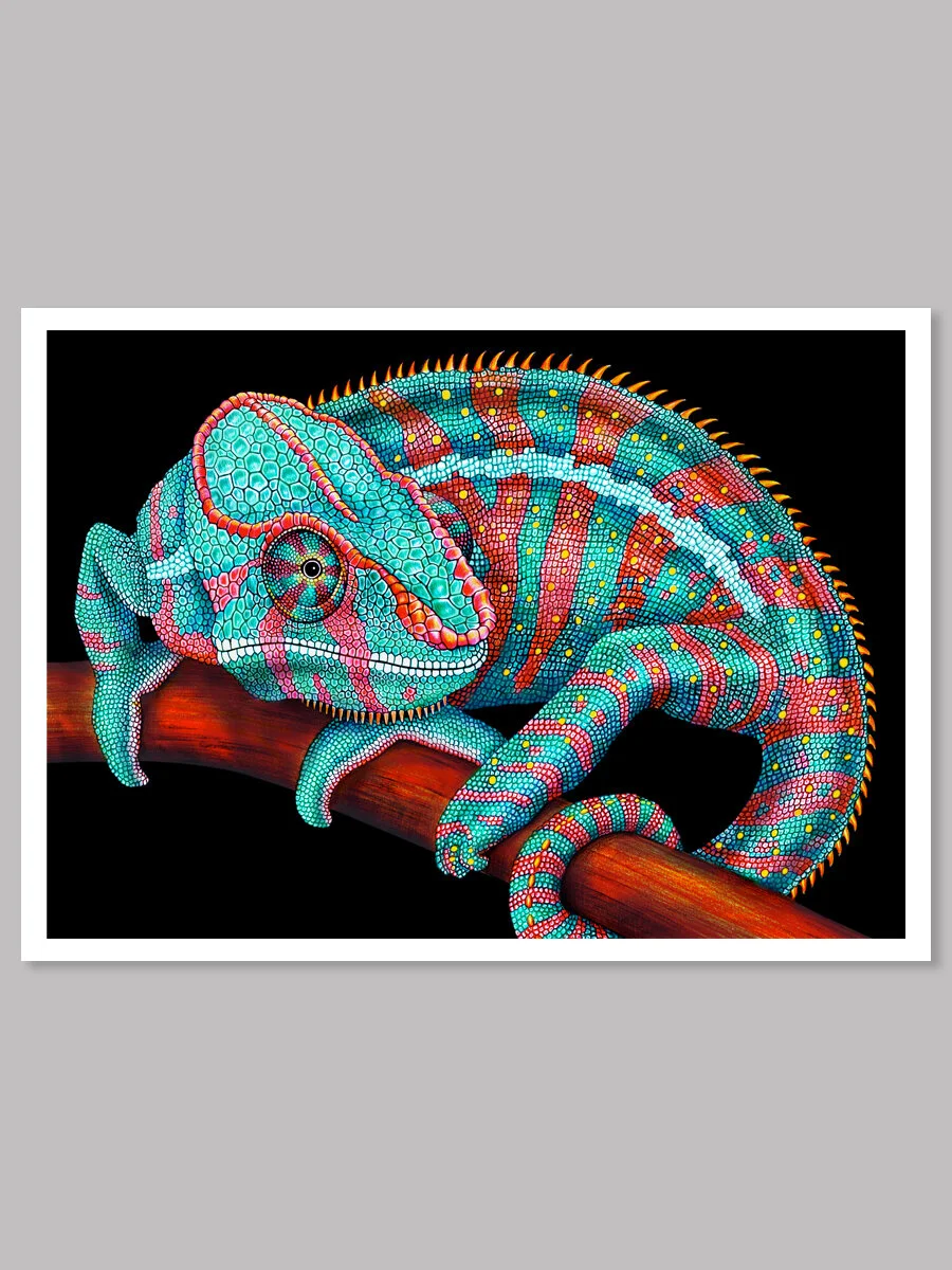 Chameleon Pencil Drawing