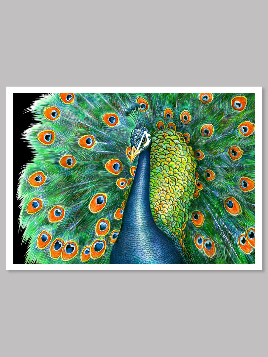 5D Diamond Painting Peacock and Two Roses Kit - Bonanza Marketplace