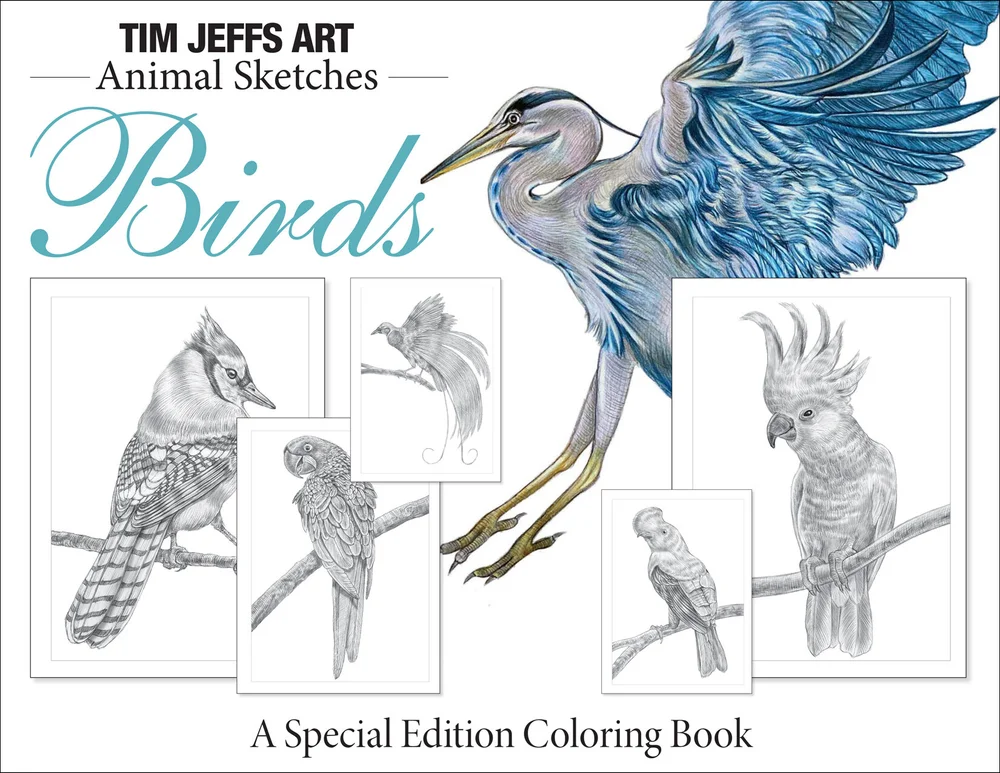 Download Books Tim Jeffs Art