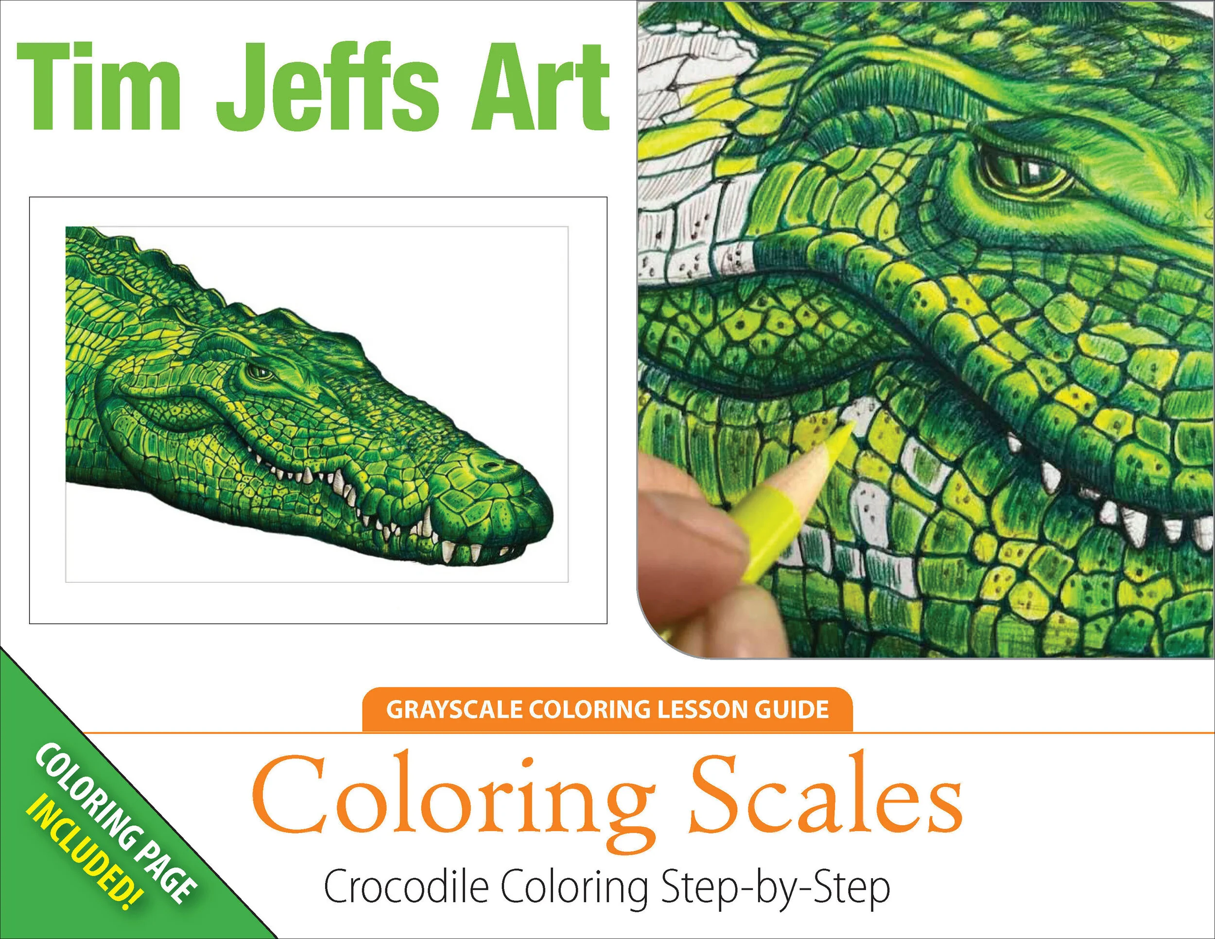 Coloring Scales. (Crocodile Coloring Lesson)