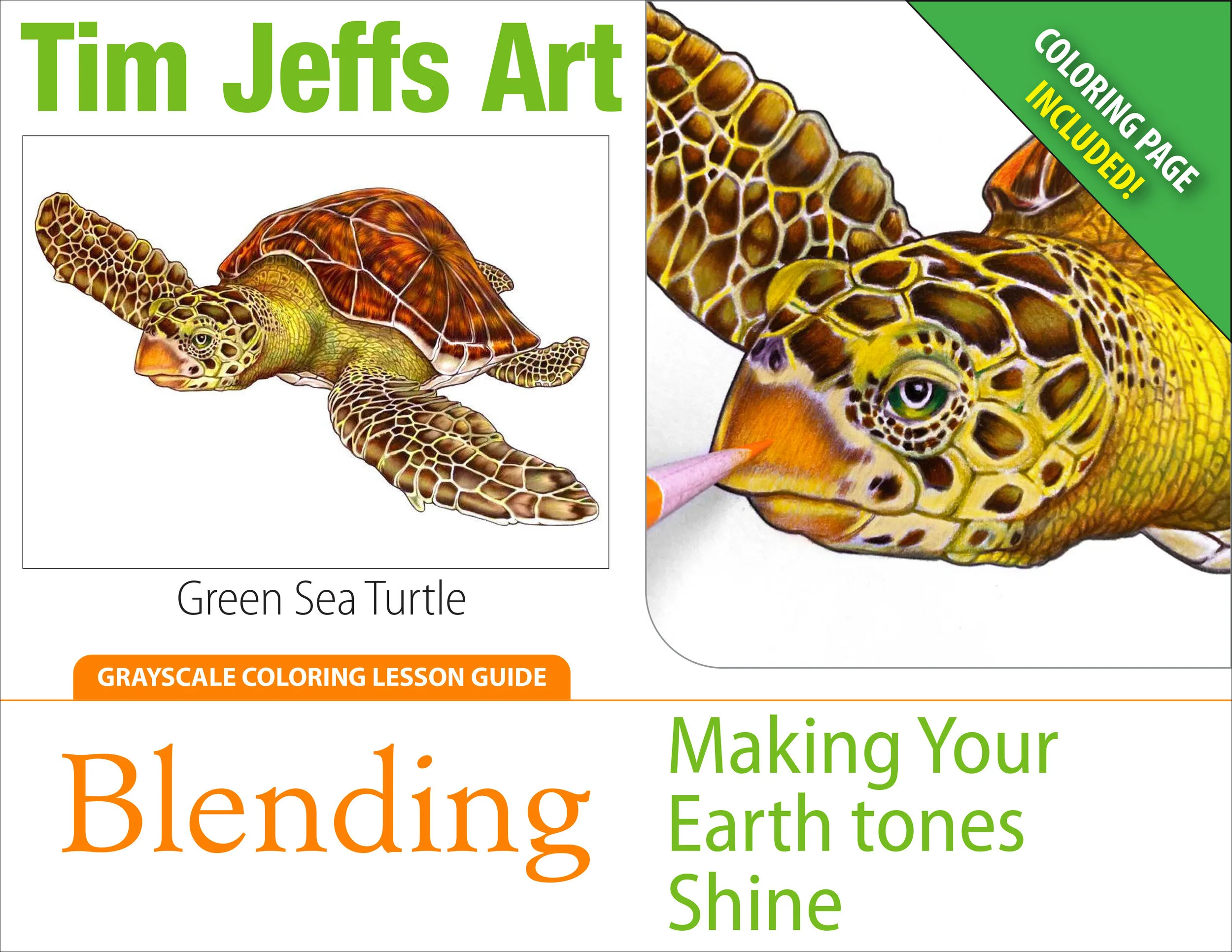 Blending: Making Your Earth tones Shine. (Sea Turtle Lesson)
