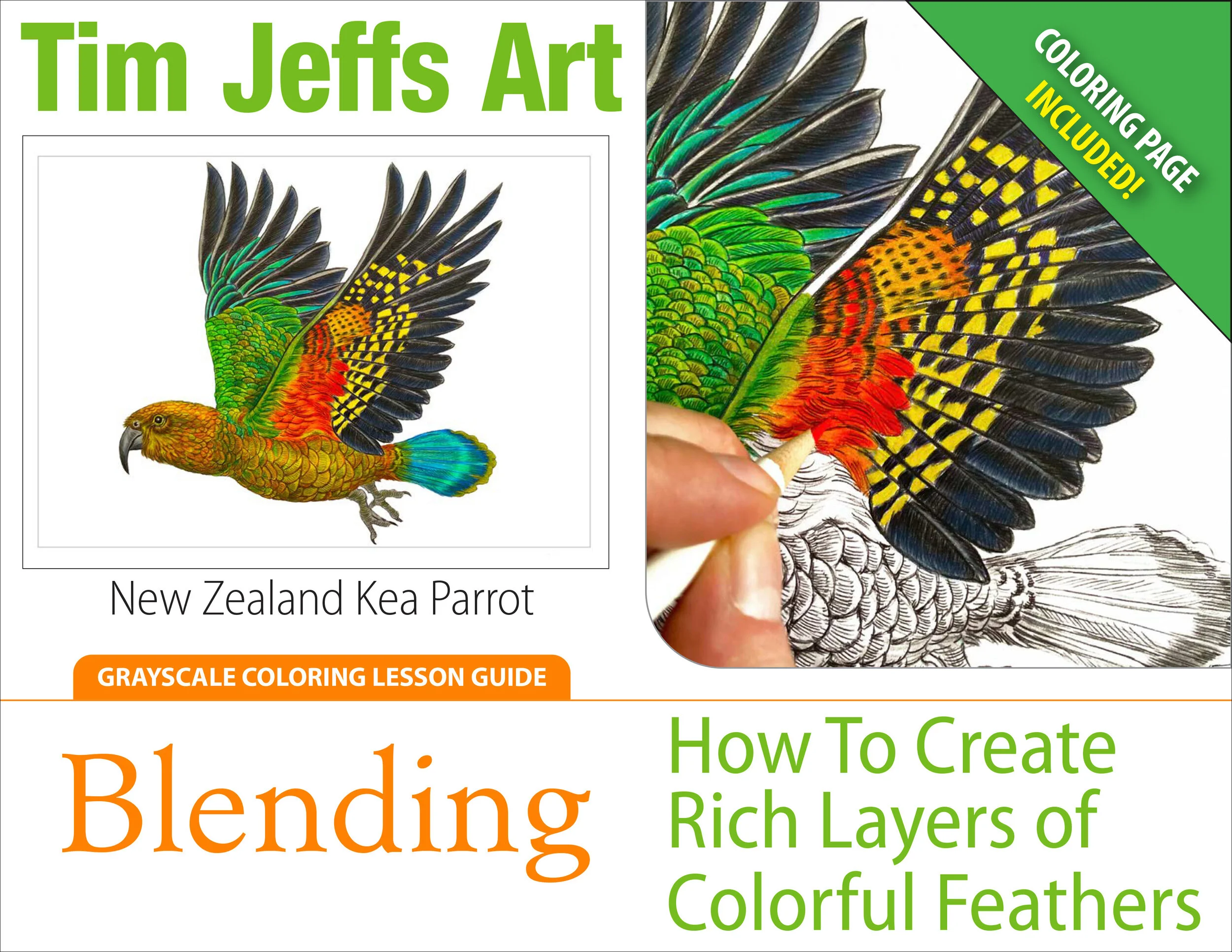 Blending: How to Create Rich Layers of Colorful Feathers. (Kea Coloring Lesson)