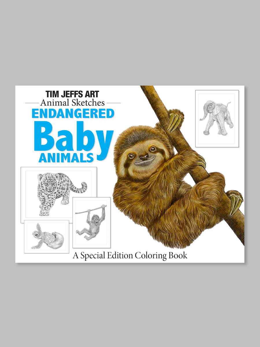 Animal Sketches: Endangered Baby Animals — Tim Jeffs Art