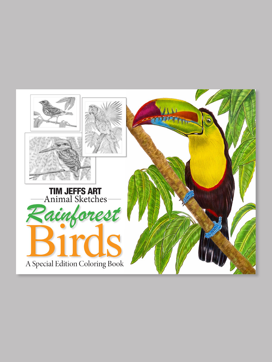 Animal Sketches Rainforest Birds