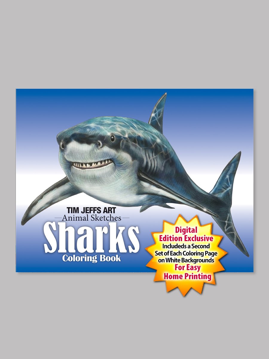 Shop — Tim Jeffs Art