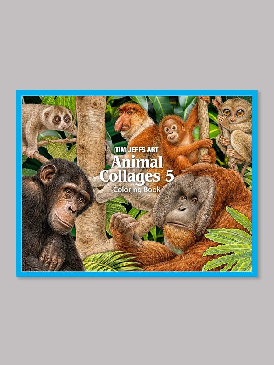 Collages 4_DIGITAL_BOOKS_3x4.jpg
