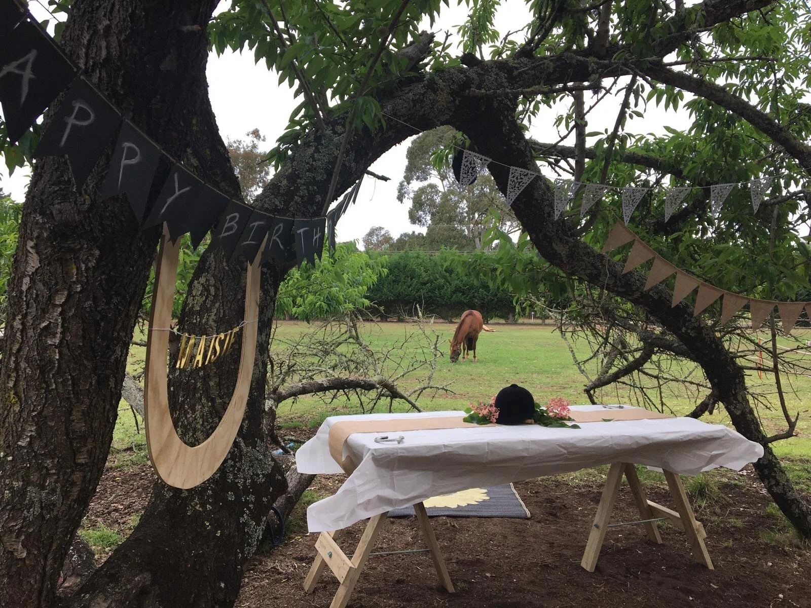 Photo from Kellie (11).jpg