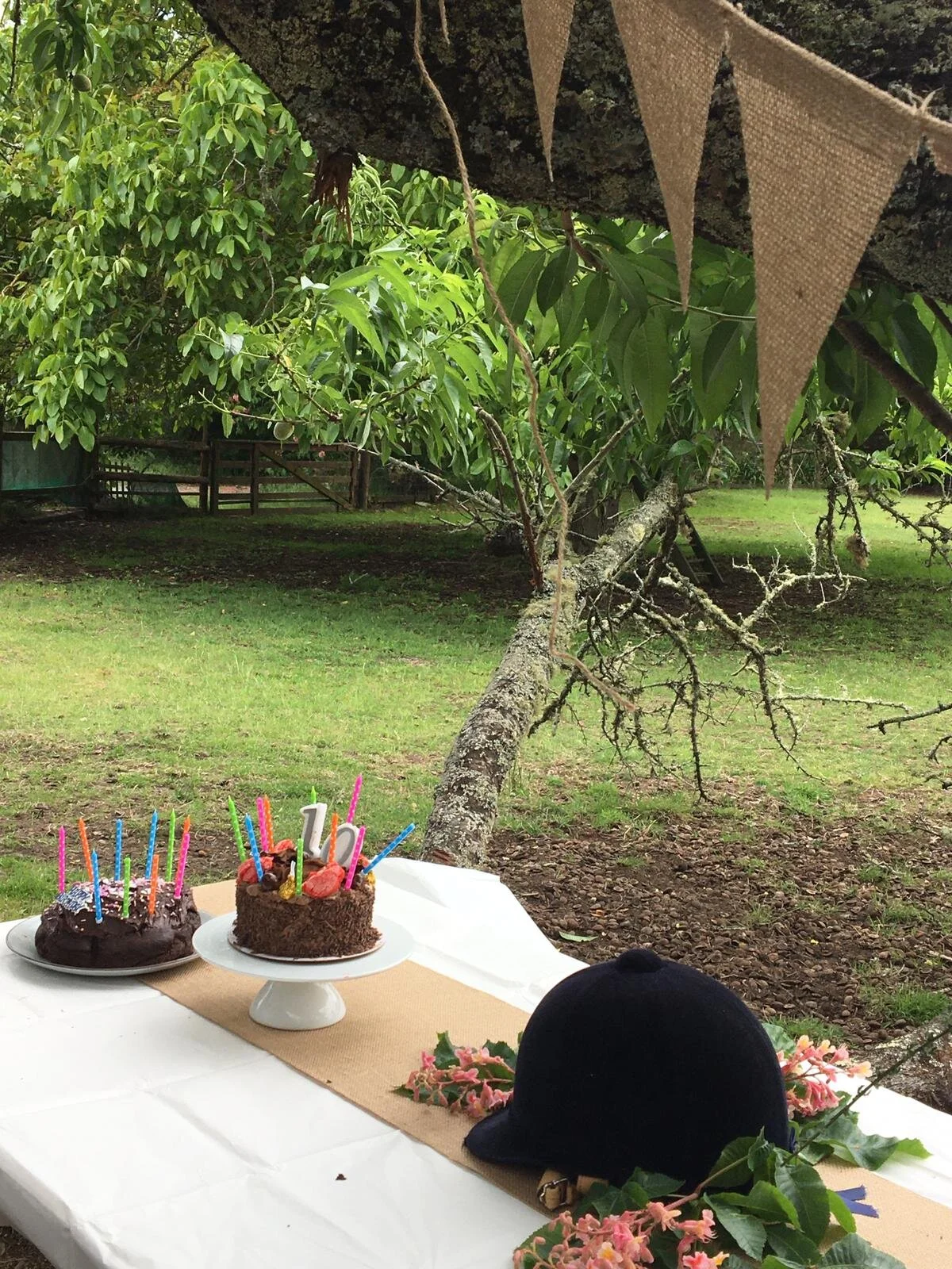 Photo from Kellie.jpg