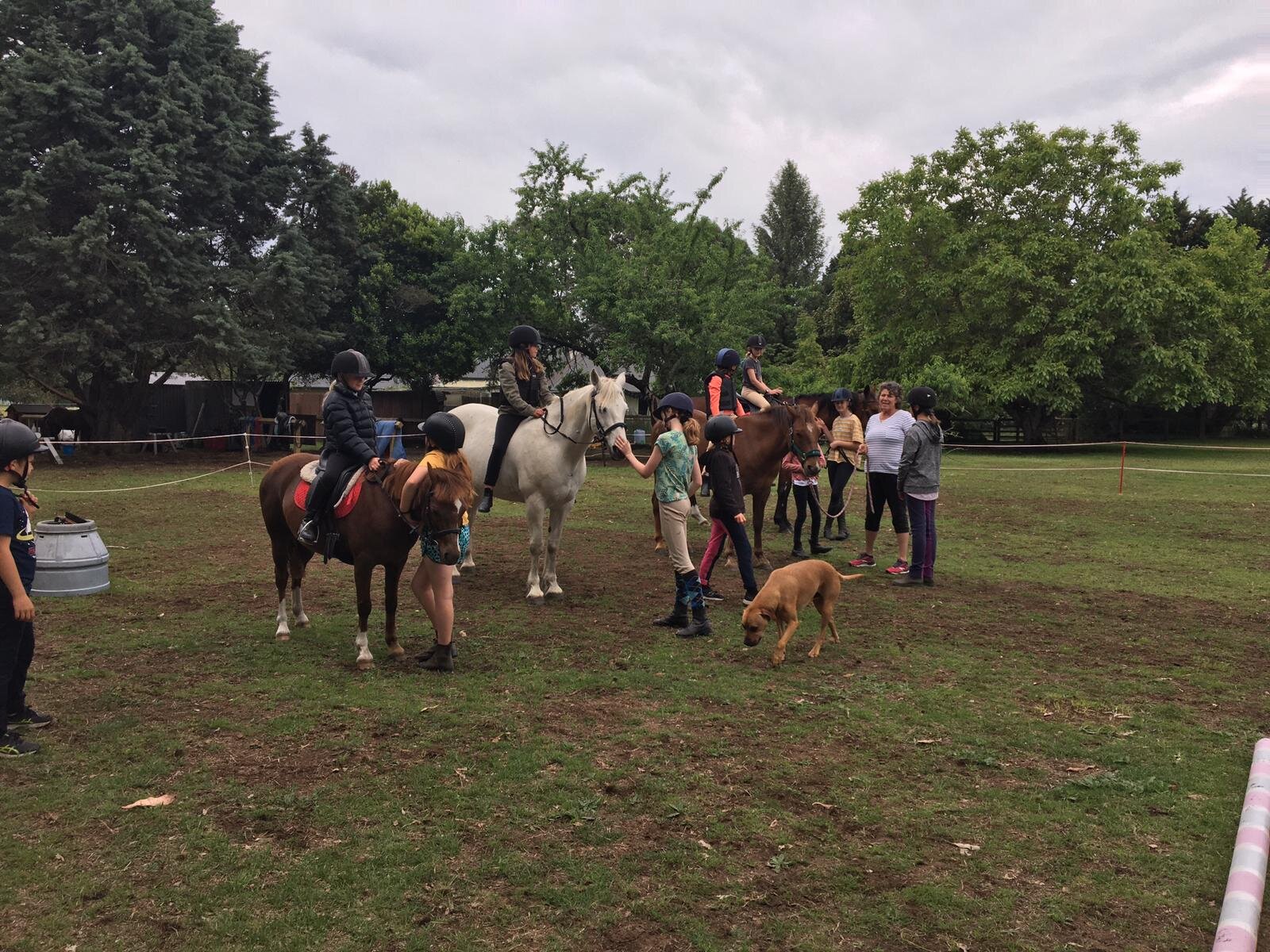 Photo from Kellie (8).jpg