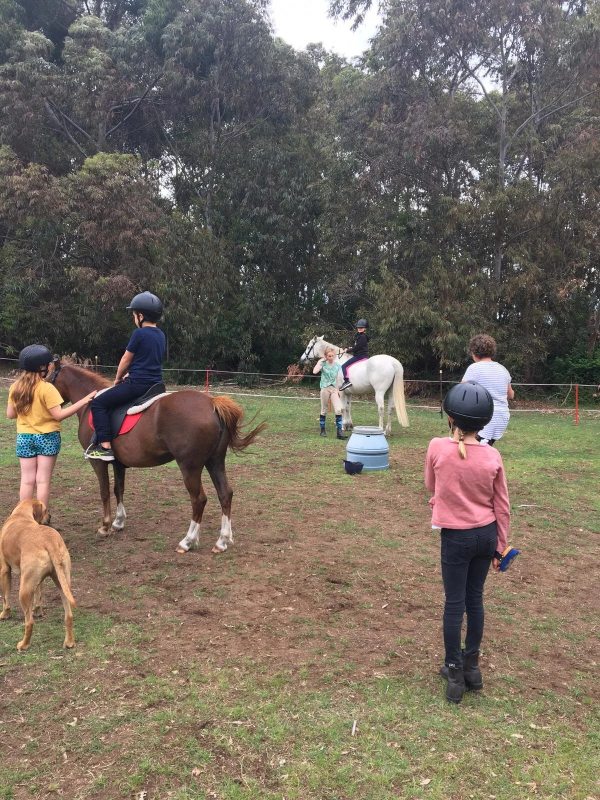 Photo from Kellie (7).jpg