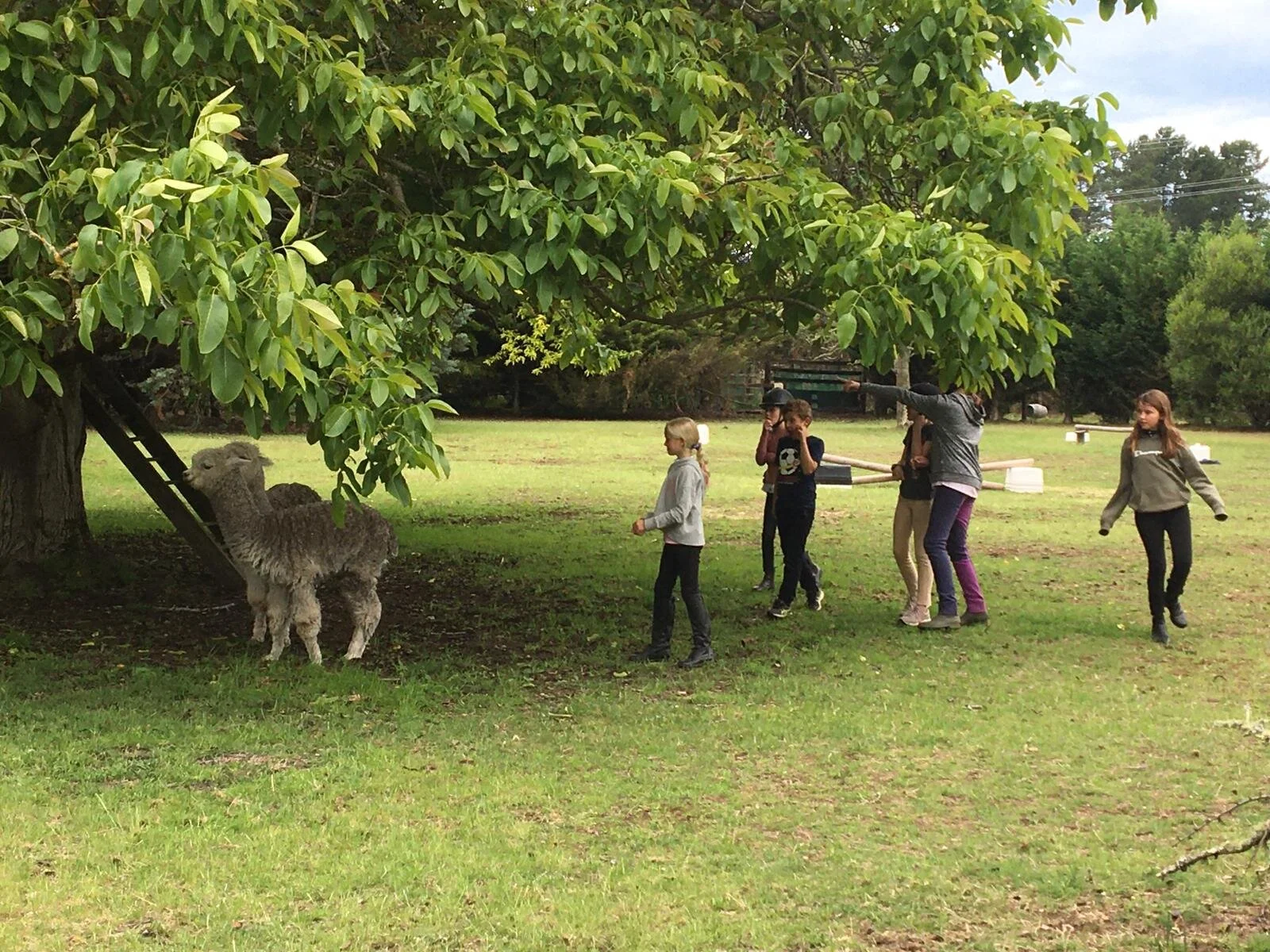 Photo from Kellie (6).jpg