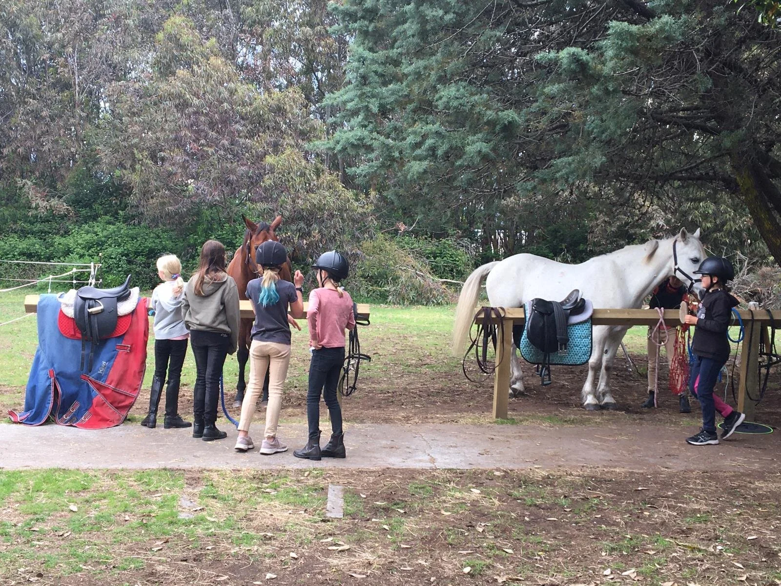 Photo from Kellie (5).jpg