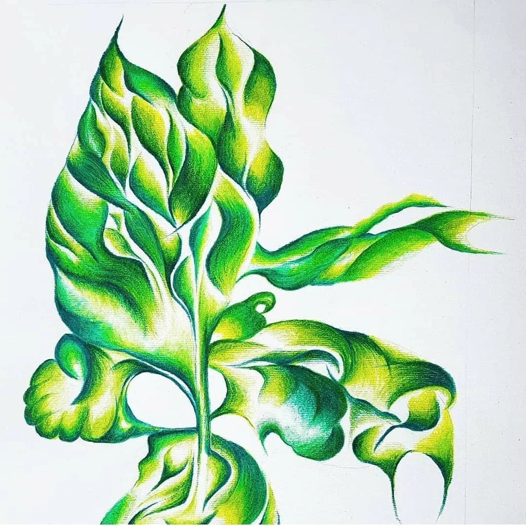 #Romans5 : 5&nbsp;And hope does not put us to shame, because God&rsquo;s love has been poured out into our hearts through the Holy Spirit, who has been given to us.

🎨🌿#BloomInEden #PlantInEden