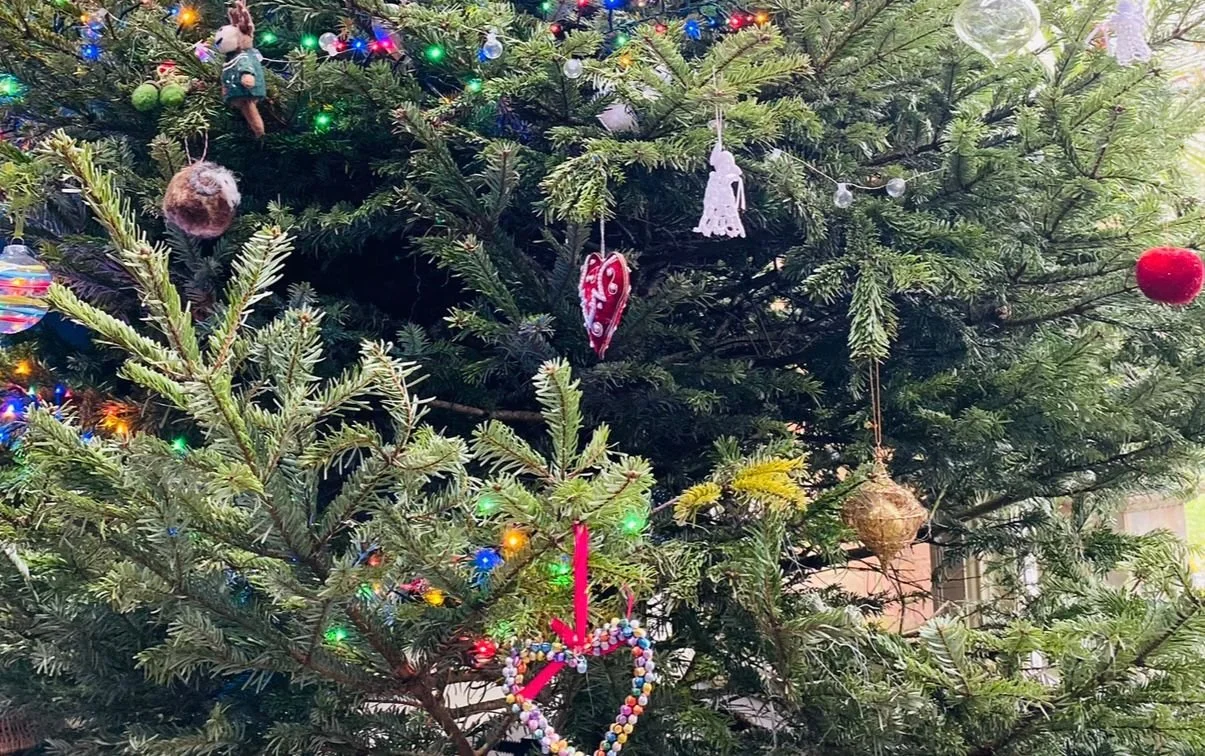 🎄Stay on Track with Your Healthy Lifestyle this Party Season!🎄