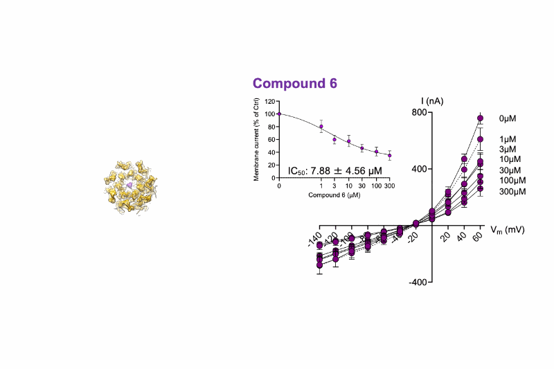 Salipro Biotech and partners unlock DEL screening for challenging membrane protein targets