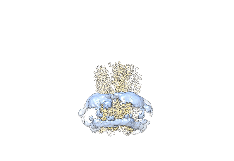 E. Karlsson, et al., Vestibular modulation by stimulant derivatives in a pentameric ligand-gated ion channel. British Journal of Pharmacology, 182(12),  2790–2802 (2025).