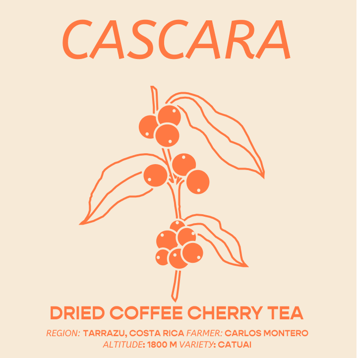 Cascara: Dried Coffee Cherry for Tea