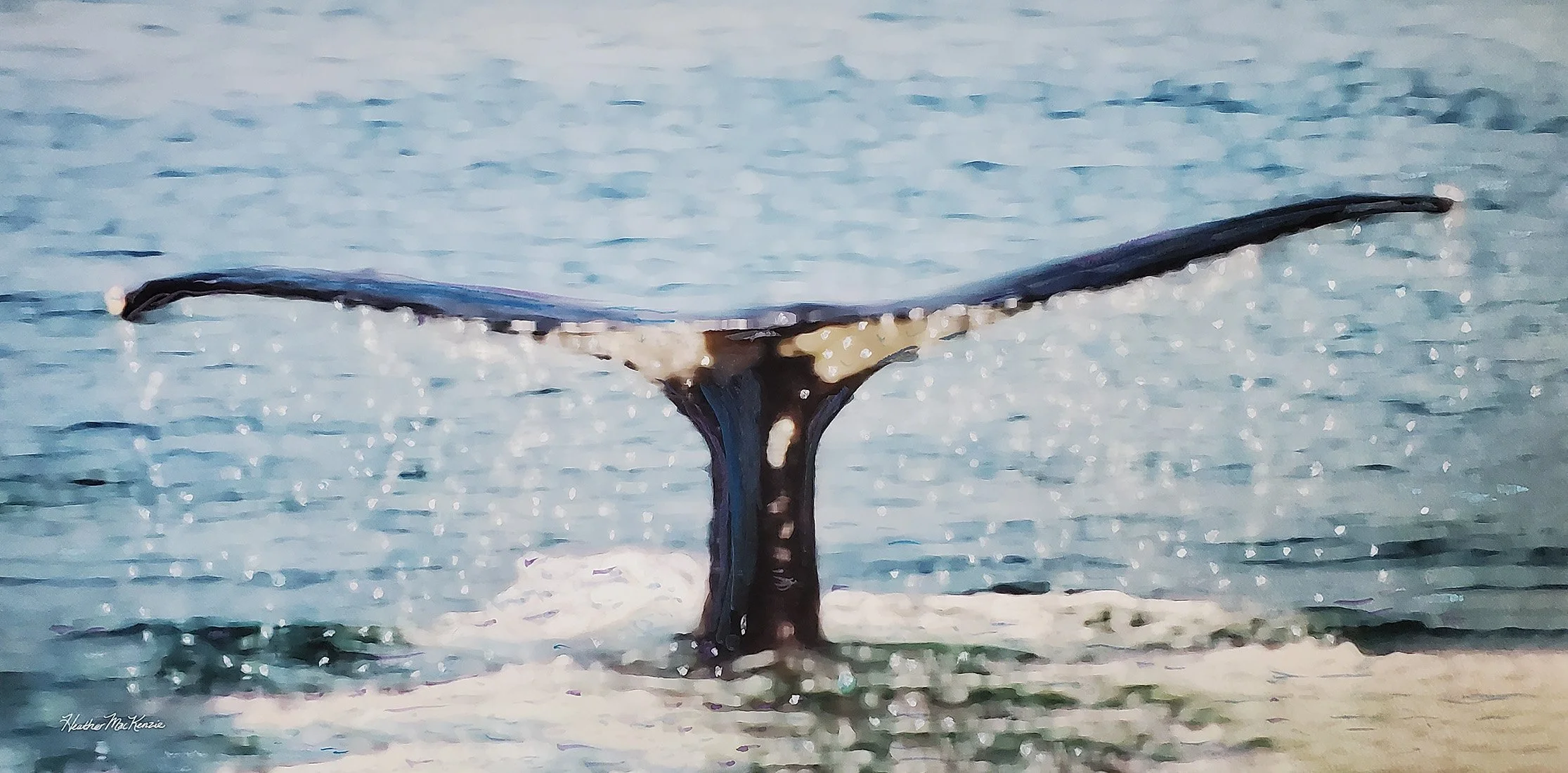 Visual Arts Cooperative holds art exhibit in August