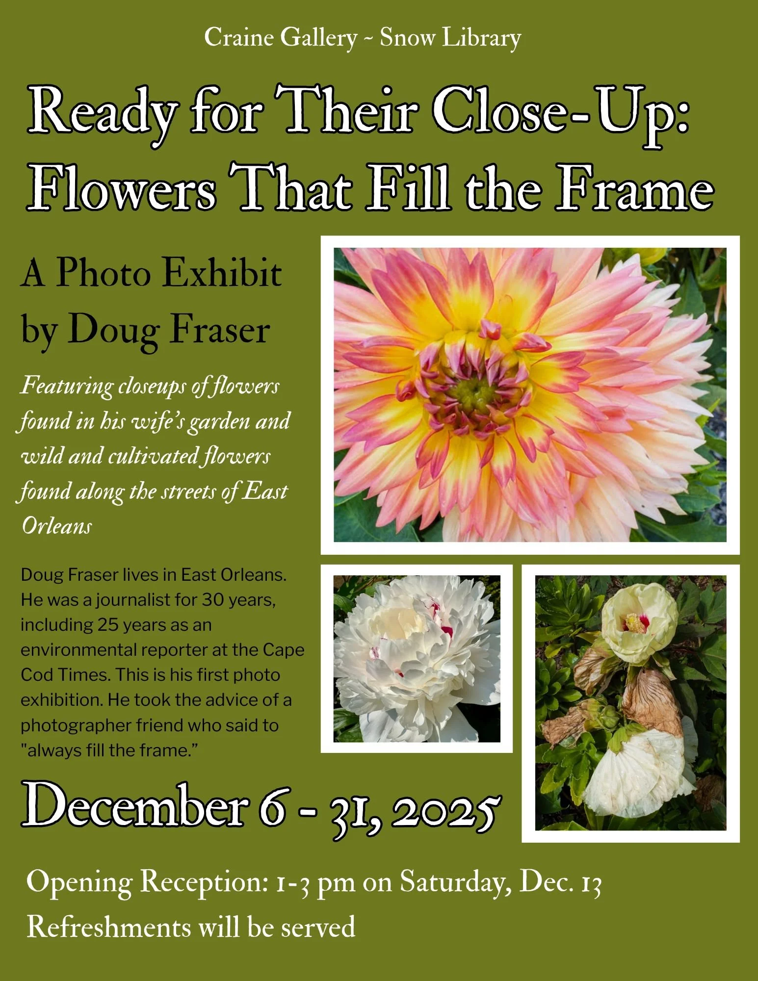 Art Exhibit: Flowers That Fill the Frame