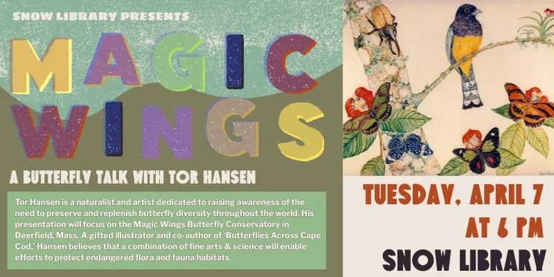 Butterfly Talk (800 x 400 px).jpg