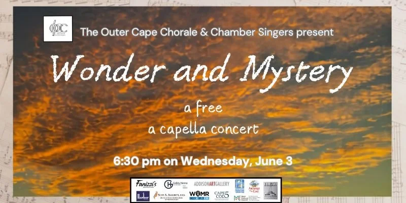 Chamber Singers 800 by 400.jpg