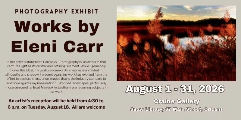 Art Exhibit Eleni Carr - website (1).jpg