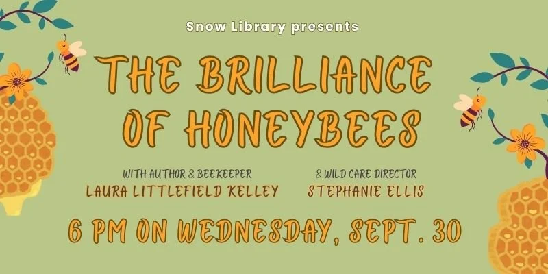 Brilliance of Honeybees _FINAL Banner1 (800 x 400 px).jpg