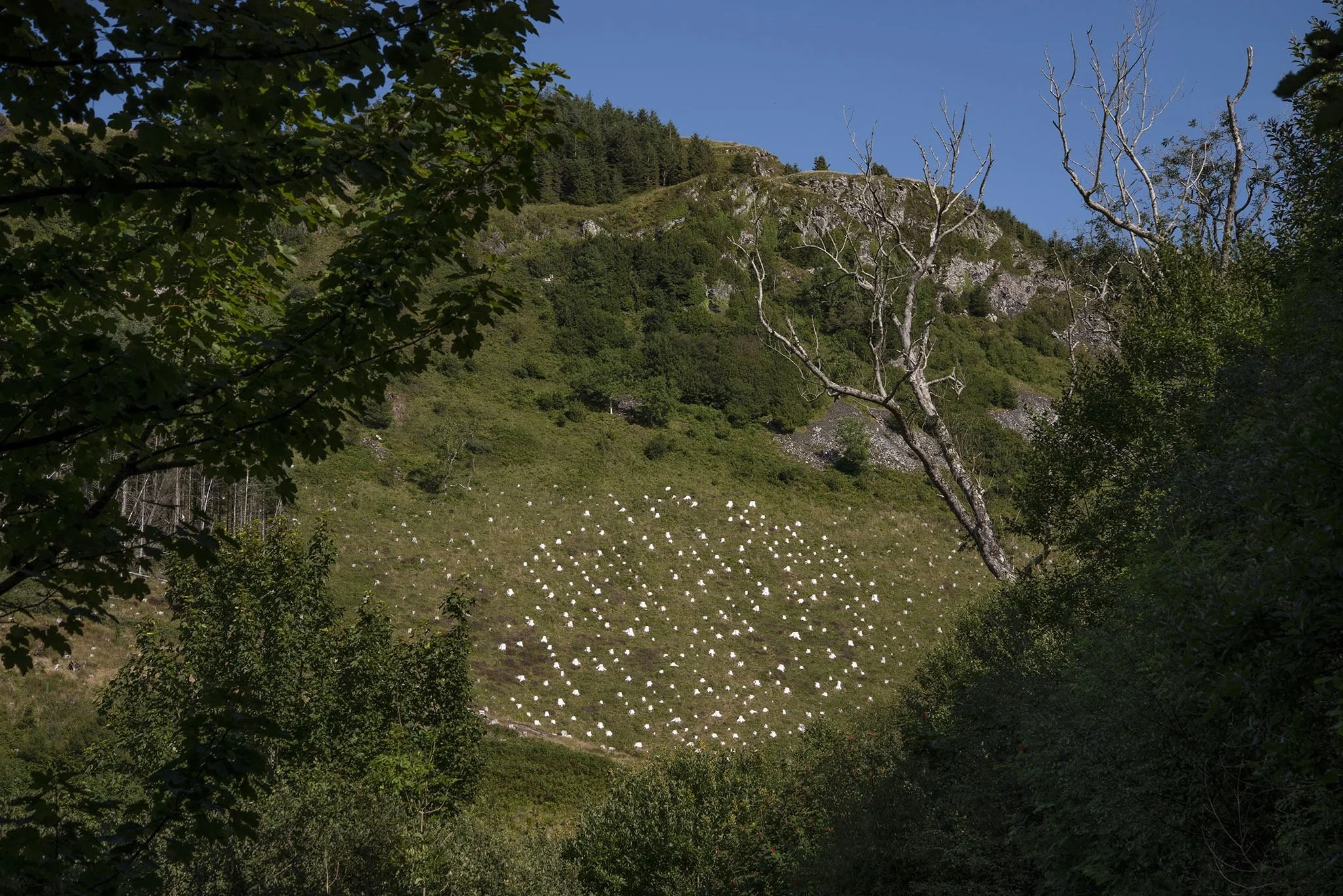 Ormaig Landart Project_view from forestry road.jpg