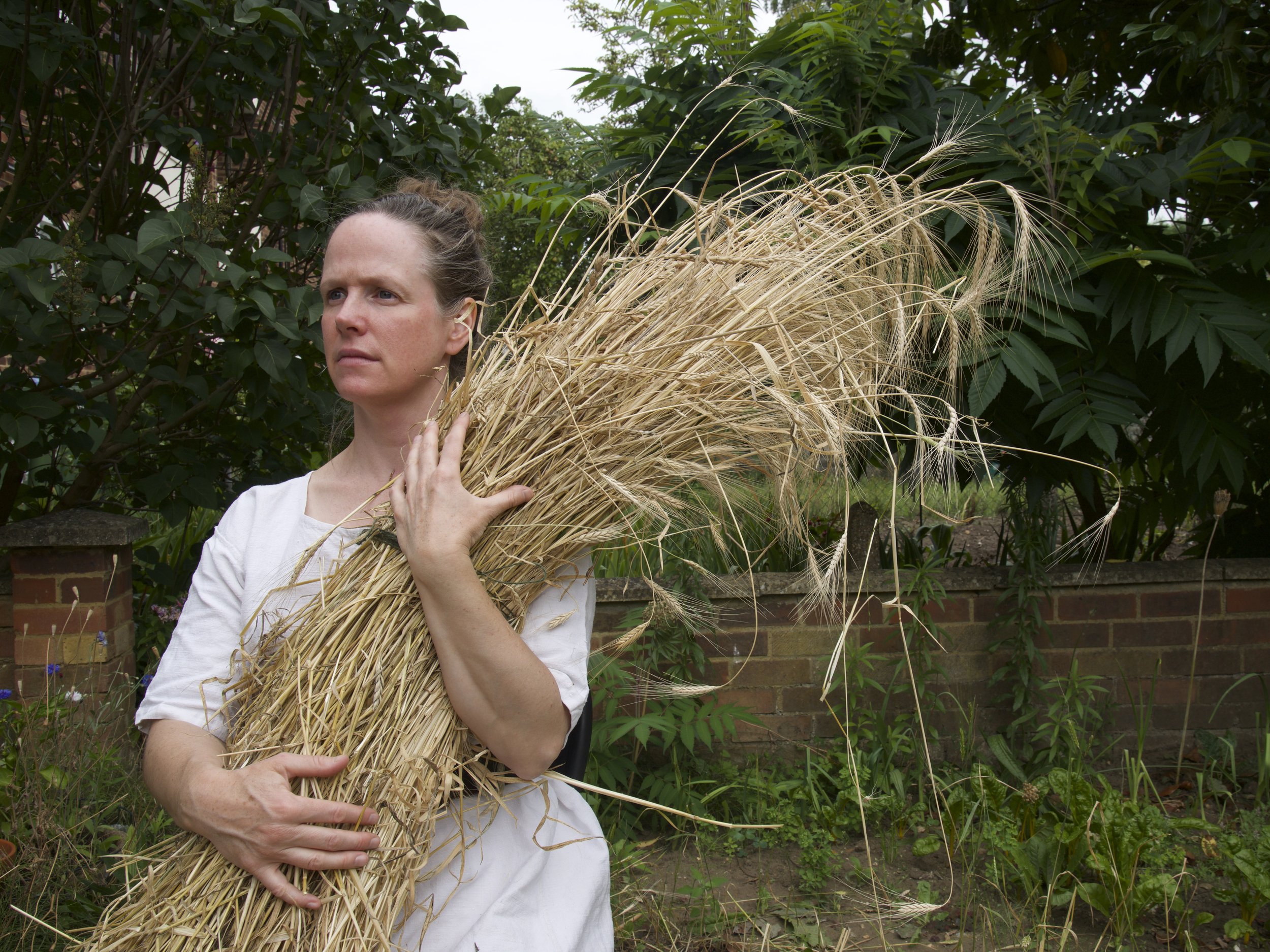 Amanda Couch - Wheat 20219