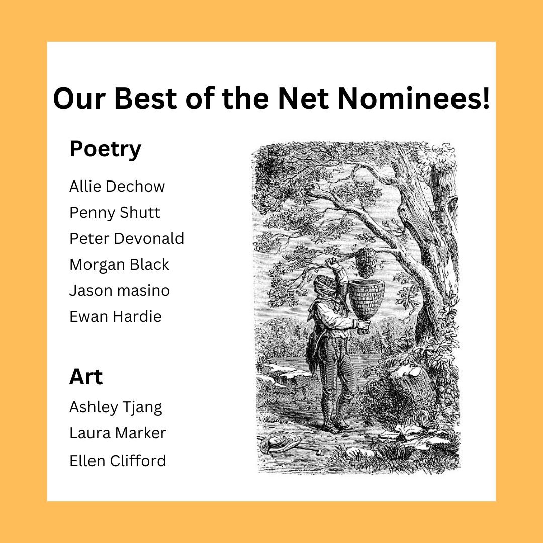 best of the net nomination_Peter Devonald.jpeg